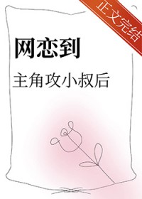 网恋类型小说1v1