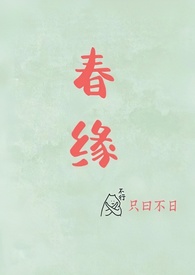 岁岁平安小说
